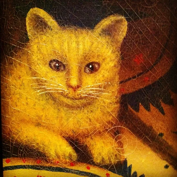 Another Freakin’ Cat Photo