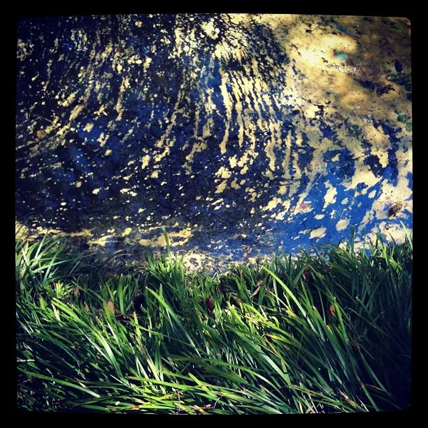 Close-up of green grass in front of a weathered, abstractly painted surface with blue, yellow, and black textured patterns.