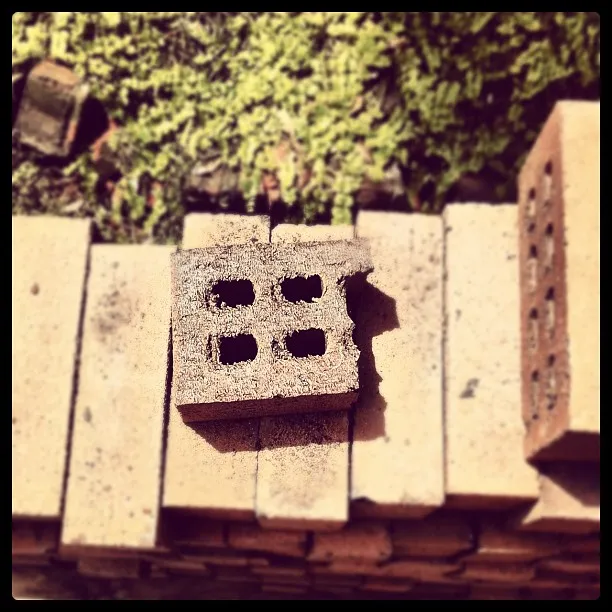 A weathered cinder block with four holes rests on a stack of beige bricks, with mossy ground visible in the background.