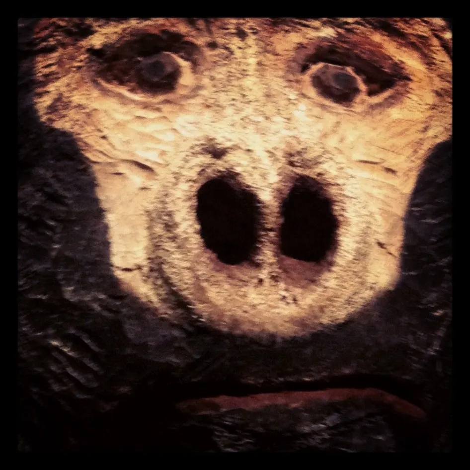 Close-up of a carved wooden face with deep-set eyes, large round nostrils, and a downward curved mouth, resembling an abstract animal.