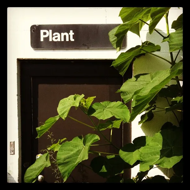 Alt text: A door labeled “Plant” is partially obscured by large green leaves growing in front of it, creating a visual pun.