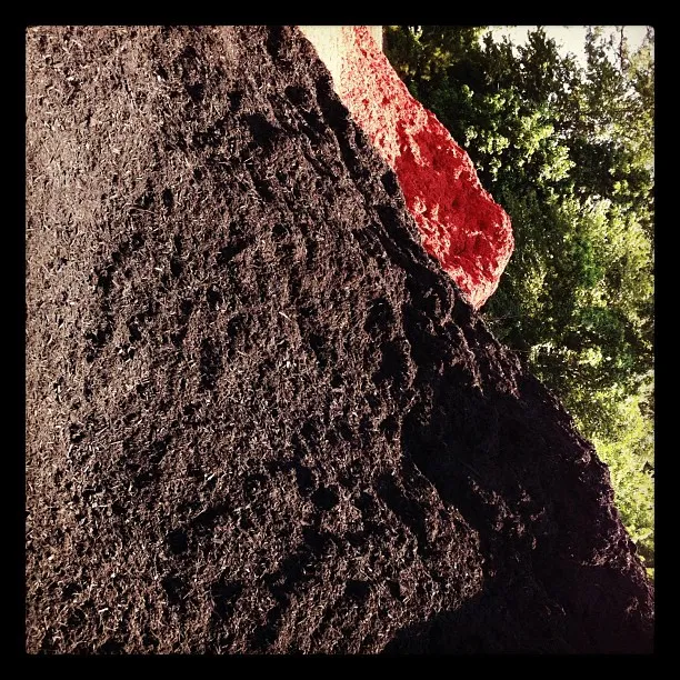 Mounds of black and red mulch piled outdoors with green trees in the background, captured in strong sunlight.