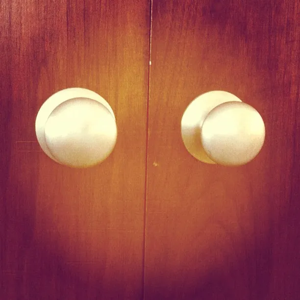 Two round, white cabinet knobs are mounted on adjacent panels of warm-toned wooden doors, creating a mirrored and symmetrical composition. Would you like alt text for all the previous images as well?