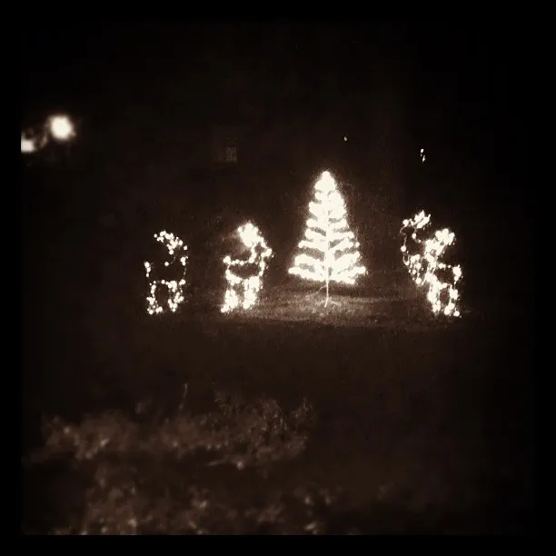 Outdoor holiday display at night with a central lit Christmas tree surrounded by four glowing human-shaped figures.