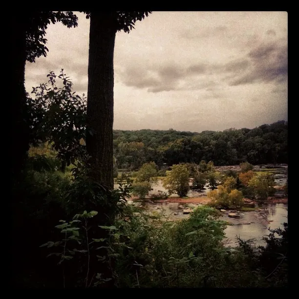 View from a forested overlook showing a river with scattered trees on small islands and a wooded hillside under a cloudy sky.