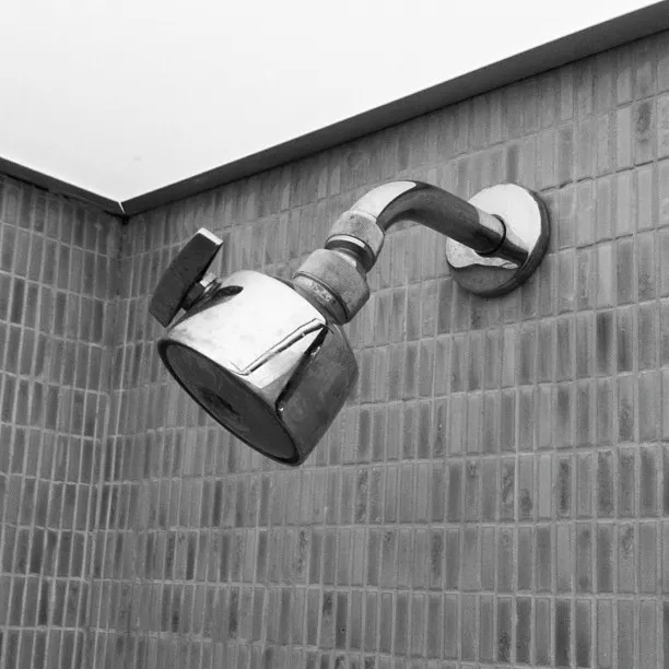 Close-up of a metallic showerhead mounted on a tiled wall in the corner of a bathroom.