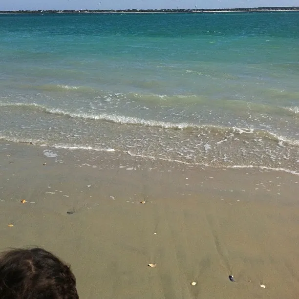 View of ocean waves gently reaching a sandy beach with scattered shells; a person’s head is partially visible in the corner.