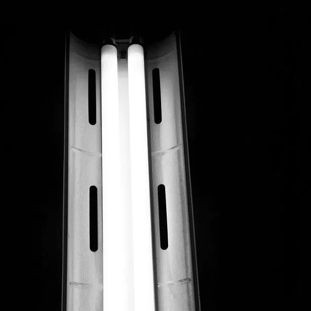 Close-up of two illuminated fluorescent light tubes mounted in a metal fixture against a dark background.