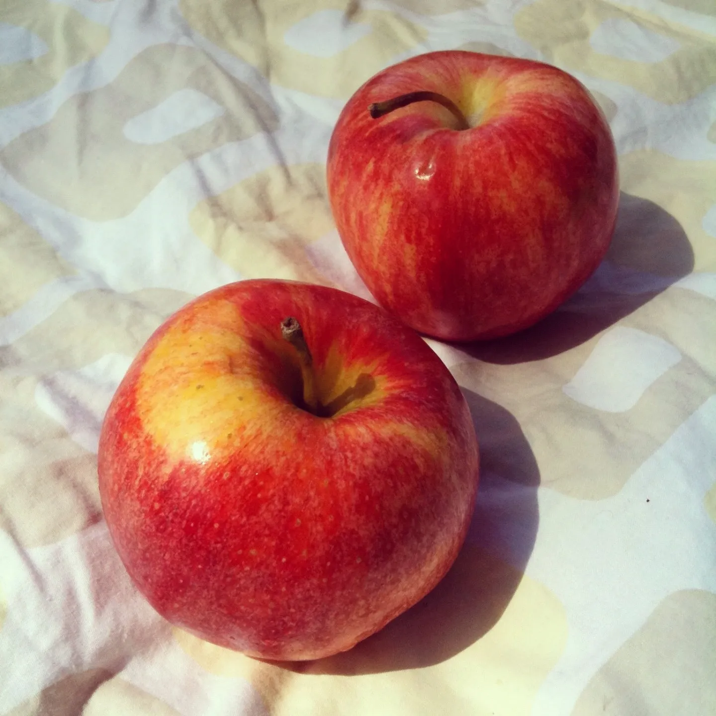 Two red and yellow apples resting on a patterned white fabric surface, illuminated by soft natural sunlight.
