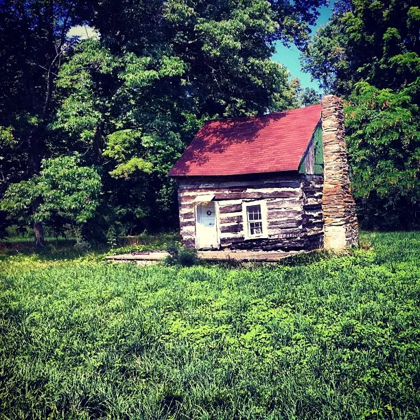 Small rustic log cabin with a red roof and stone chimney, surrounded by tall grass and dense green trees.