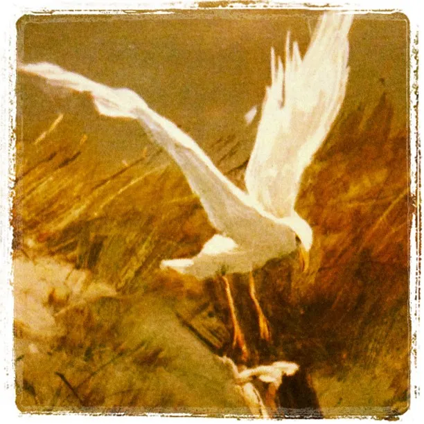 Painting of a white bird, possibly an egret or heron, with wings outstretched against a background of earthy brushstrokes and tall grasses.