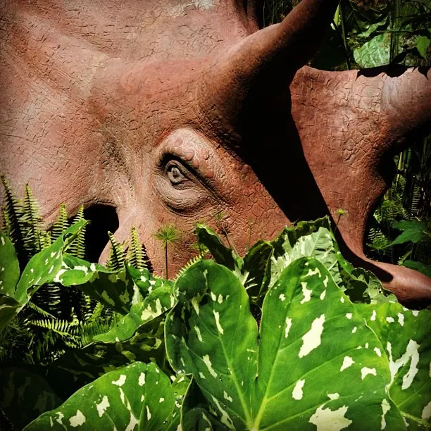 A large sculpture of a triceratops head partially hidden behind lush green foliage with dappled sunlight.