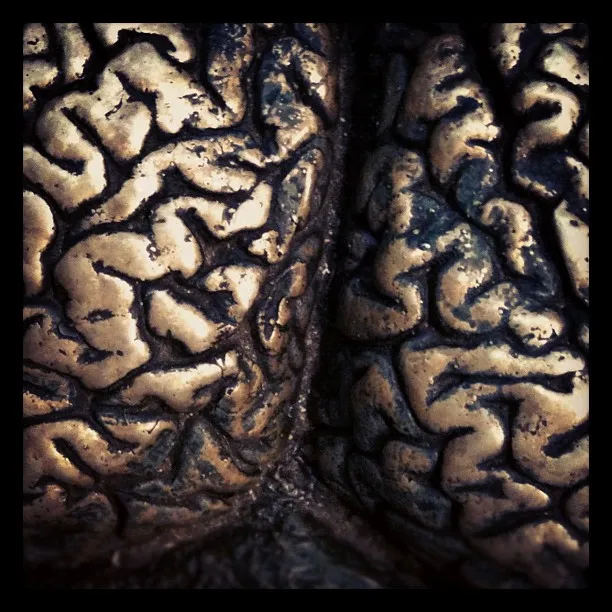 Close-up of a textured bronze or metallic surface sculpted to resemble the convoluted folds of a human brain.